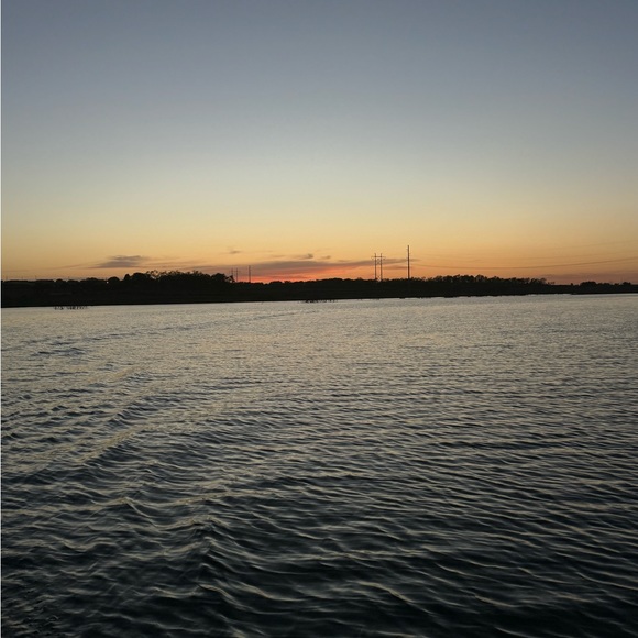 Meet your Posher, Molly - Picture 1 of 1